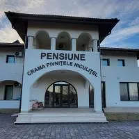 Pensiunea Crama Pivnițele Niculițel, Hotel in Niculiţel