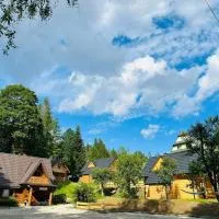 Niedźwiedziówka, hotelli kohteessa Jaworki