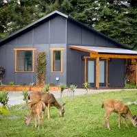 New, Modern, Country-feel, close to Arcata – hotel w mieście Arcata
