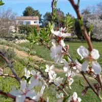 Chambre d'hôtes Au temps des secrets Roquevaire en Provence: Roquevaire şehrinde bir otel