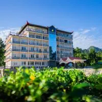 Papum Pare Jungle Resort, отель в городе Bacha