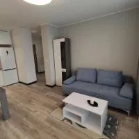 Apartament Piastowski、シュフィエボジツェのホテル