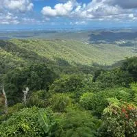 Green Cauldron, Homestay, Tamborine Mountain, Private Room, Ensuite, Private Courtyard, Gold Coast Views, hotel em Mount Tamborine