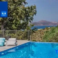 Villa YOLO، فندق في ألميريدا