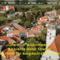 Ambiente Hotel Strehla, hotel a Strehla