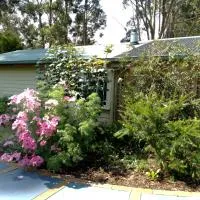 The Olive House Tasmania, Hotel in Flowerdale