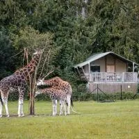 Knuthenborg Safaripark, מלון במריבו