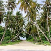 Bahee Residence, hotel poblíž Kulhudhuffushi Airport - HDK, Kulhudhuffushi