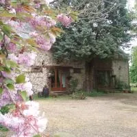 Rose, Hotel in Chigné