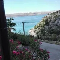 Apartments Vesna, hotel i Ribarica