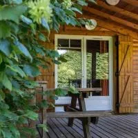 Domaine des Epinettes、Saint-Romain-de-Jalionasのホテル