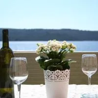 Beautiful Sea View Apartment, hotel en Zverinac