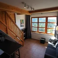 Cihlarka 303, hotel sa Černý Dŭl