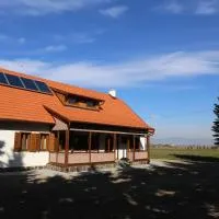 Ezüstfenyő Agroturisztikai Panzió, хотел в Borzont