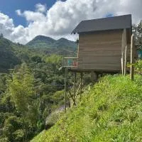 Cabañas Colibrí, ξενοδοχείο σε Cocorna