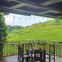 House By The Stream, hotel u gradu Lũng Tiềm