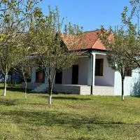 Konak, hotel a Gabala