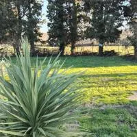 Emplacement camping car chez agriculteur branchement électrique, hotel en Barbentane