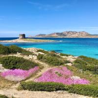 Hotel in Stintino just 50 mt from the sea, hotel u gradu 'Stintino'