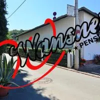 Pension Wansner, Hotel in Freital