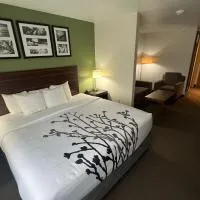 Sleep Inn & Suites Conference Center Eau Claire North, hotel em Union