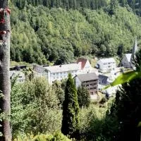 Gasthof Rodachtal mit Gästehaus Katharina، فندق في Schwarzenbach am Wald