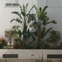 Very high standing apartment, hotel v mestu Gammarth