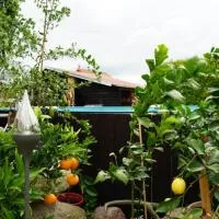 Pension Limone Ferienwohnung 1, hotell i Neu Lindenberg