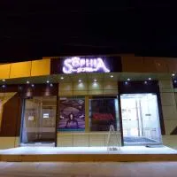 Hotel Sophia, hotel en Tecuci