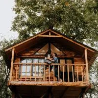 Loft Treehouse, hotell sihtkohas Peşteana