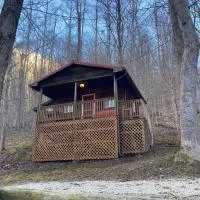 Sleepy Bear Cabin, Red River Gorge, KY, River Access & Views, hotel sa Stanton
