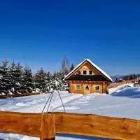 Góralskie Izby, отель в городе Конякув