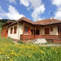 Öreg Tornácos Lak, hotel i Lunca de Sus