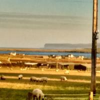 Hamnavoe, hotel in John O Groats