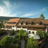 Hirschen Erlinsbach Swiss Quality، فندق في Erlinsbach