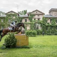 Pałac Baborówko, hotel di Szamotuly