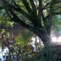 Les Rives de CAUPIAN، فندق في سان ميدارد-أون-جال