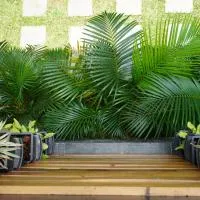 Nature 2BHK AC Villa - Trivandrum, hotel i Thiruvananthapuram