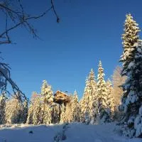 Faråsen Luxury Treetop Cabin - Sleep Among the Trees, ξενοδοχείο σε Ringsaker