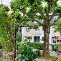 Haus S.E.E., hótel í Marienthal