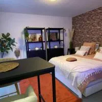 Studio douillet Tout Confort 3 - Wifi - Parking Gratuit, hotell sihtkohas Wissembourg