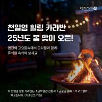 Sinan Solar Salt Healing Camp Caravan, hotel near Muan International Airport - MWX, Sinan