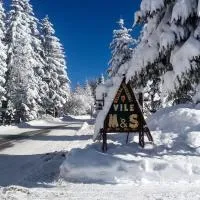 Planinske Vile M&S, hotelli kohteessa Kopaonik