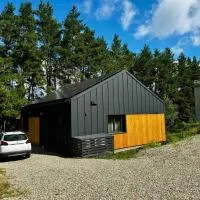 Pinetree Trakai holiday home، فندق في Gratiškės