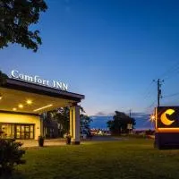 コンフォート イン モントリオール エアポート（Comfort Inn Montreal Aeroport）、ポイントクレアのホテル