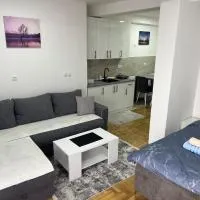Apartman David, viešbutis mieste Vrnjci
