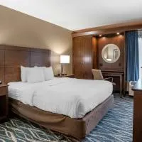 Comfort Inn & Suites Newark - Wilmington, מלון בניוארק