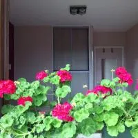 Viesnīca Chambres tout confort du Tilleul pilsētā Bosc-Bénard-Commin