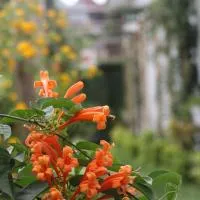 At Home Suites, Moshono Garden Arusha: Nkoanrua şehrinde bir otel