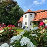 Willa Rossetówka, hôtel à Jastrzębia Góra